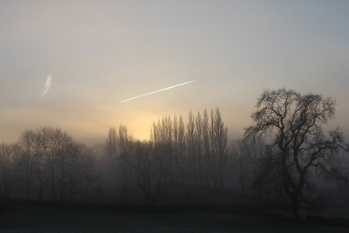 Misty Morning, Guiseley